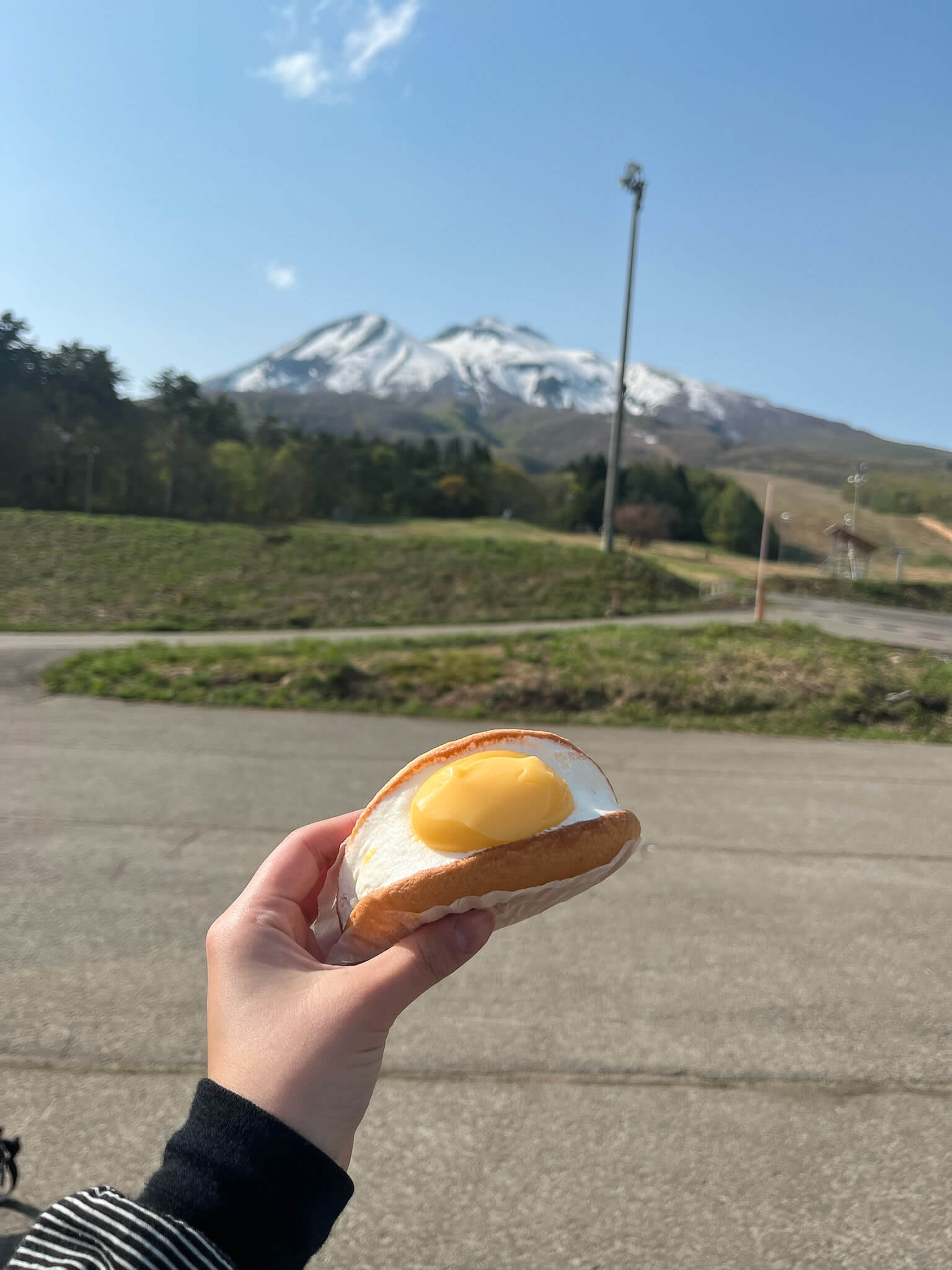 一戸菓子店のワッフル