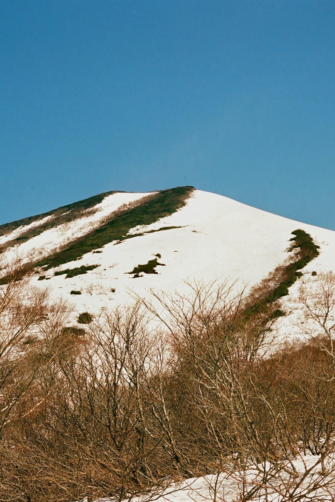 山を見る