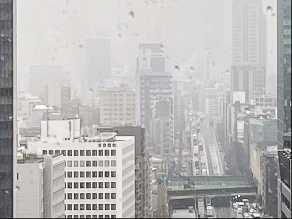 花粉症の季節、雪の東京