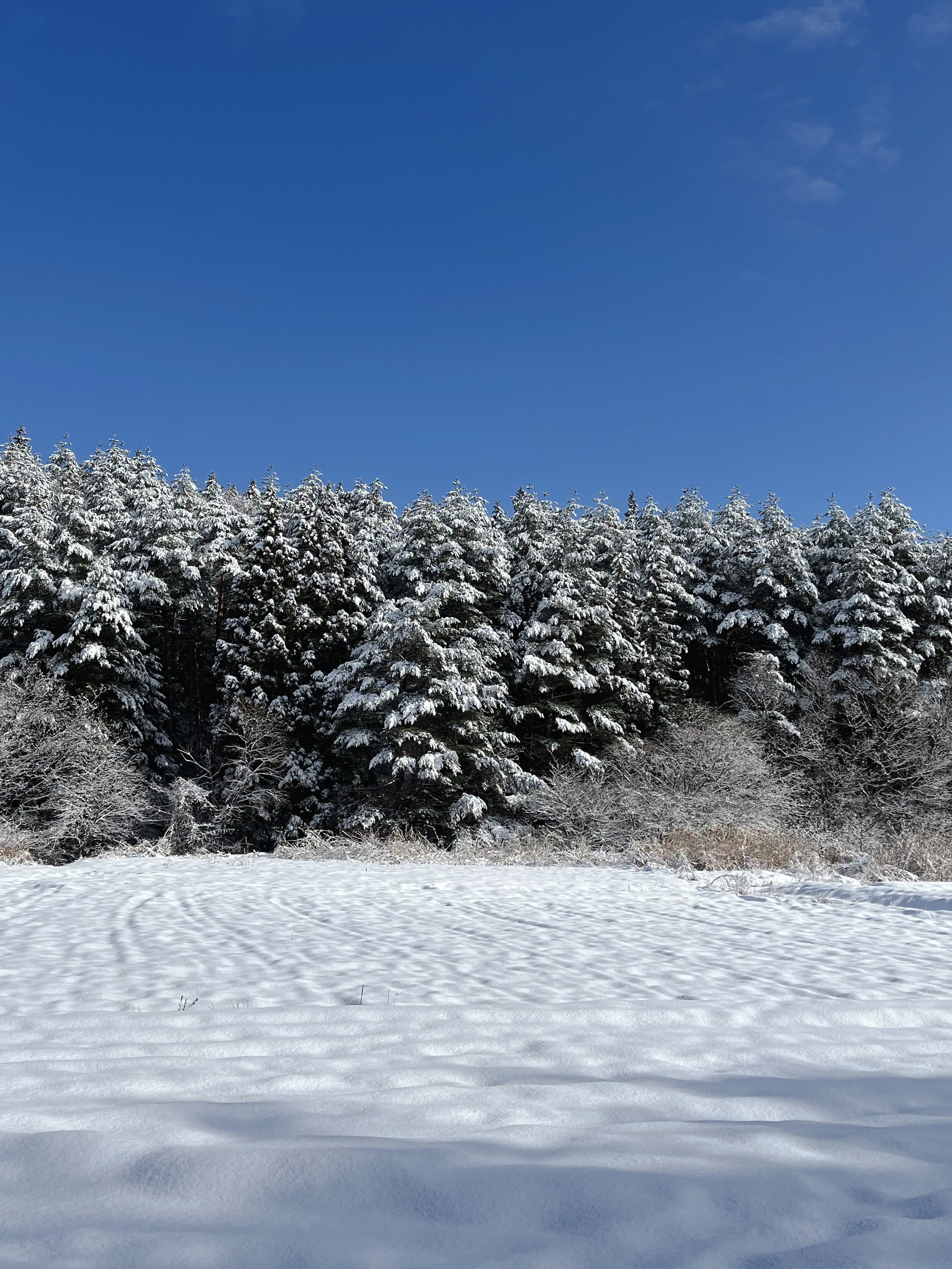 階上岳雪山登山、下山後
