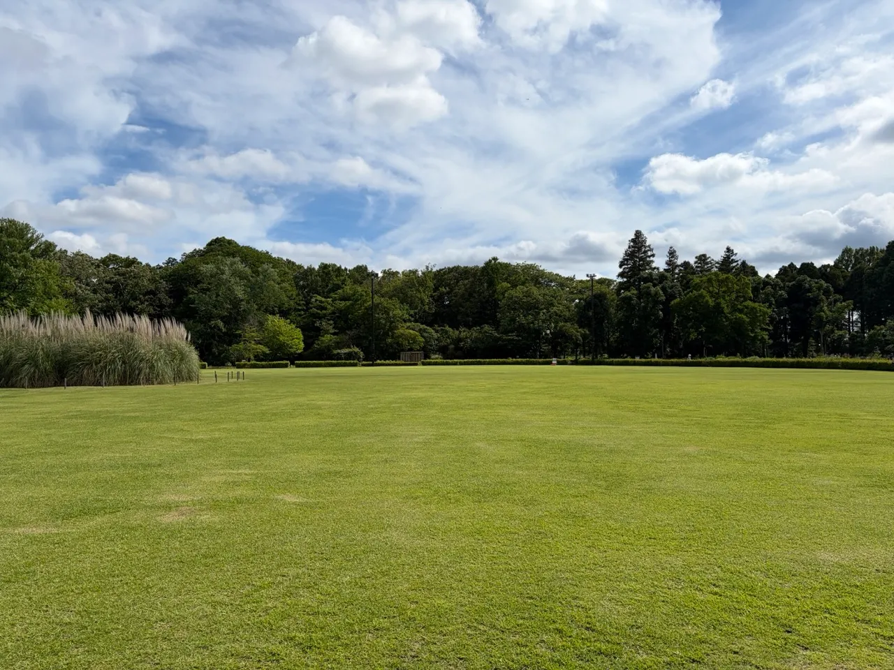 植物園の広場