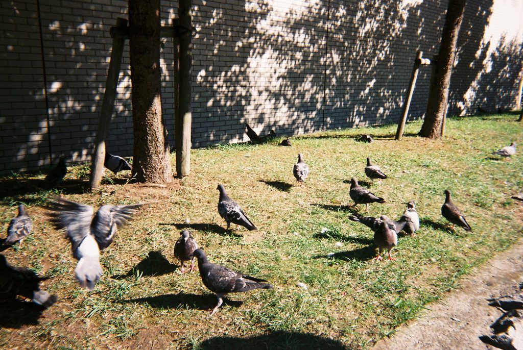 fh000016_re