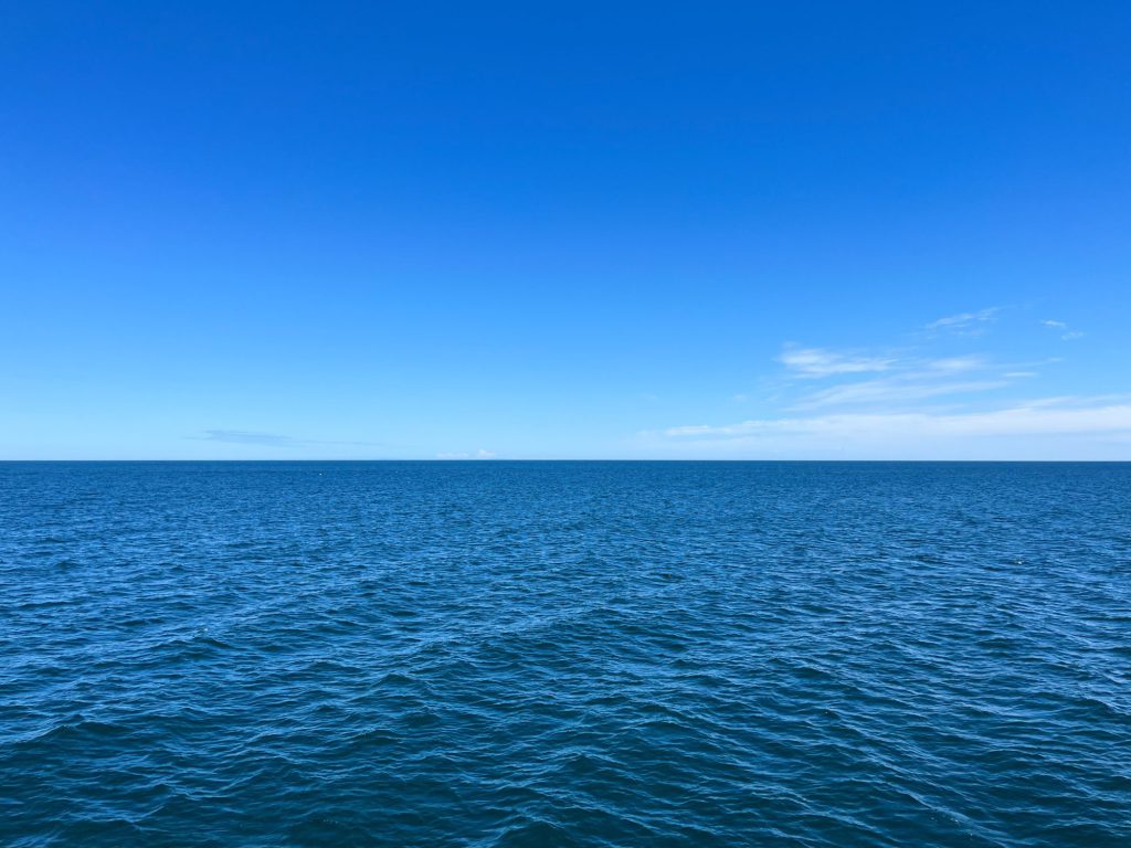 海