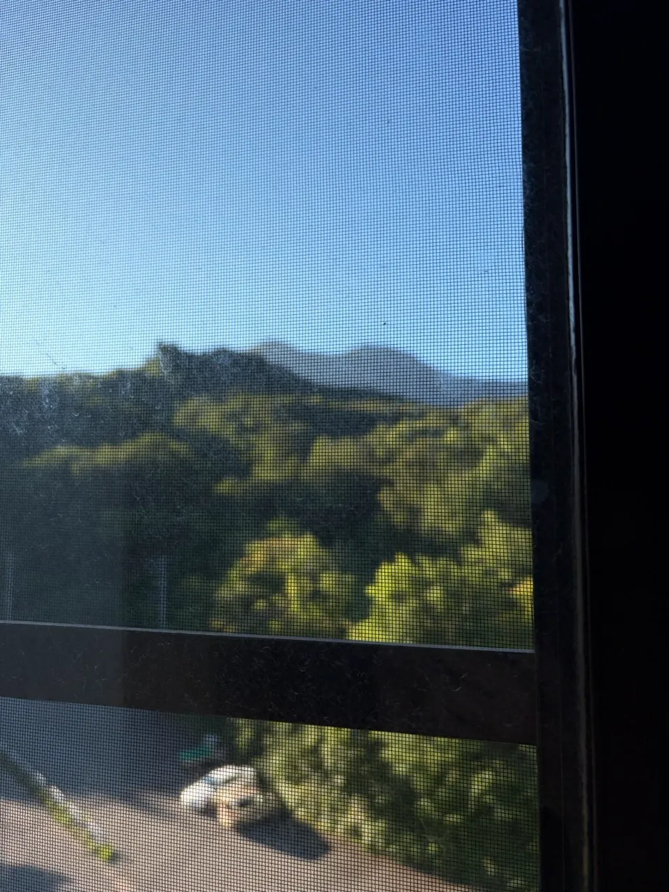 朝の山