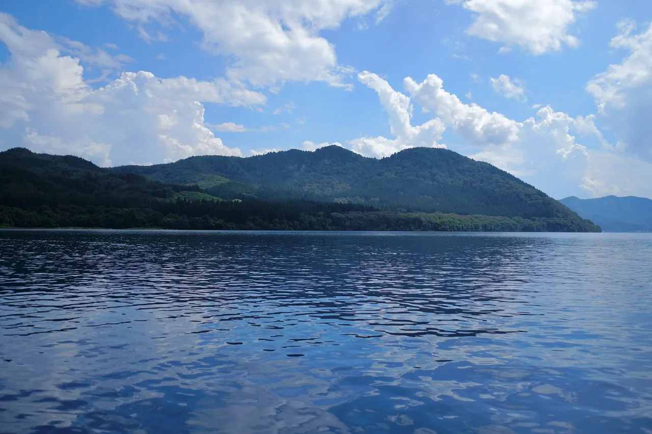 針葉樹林