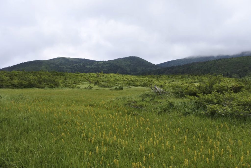 八甲田大岳