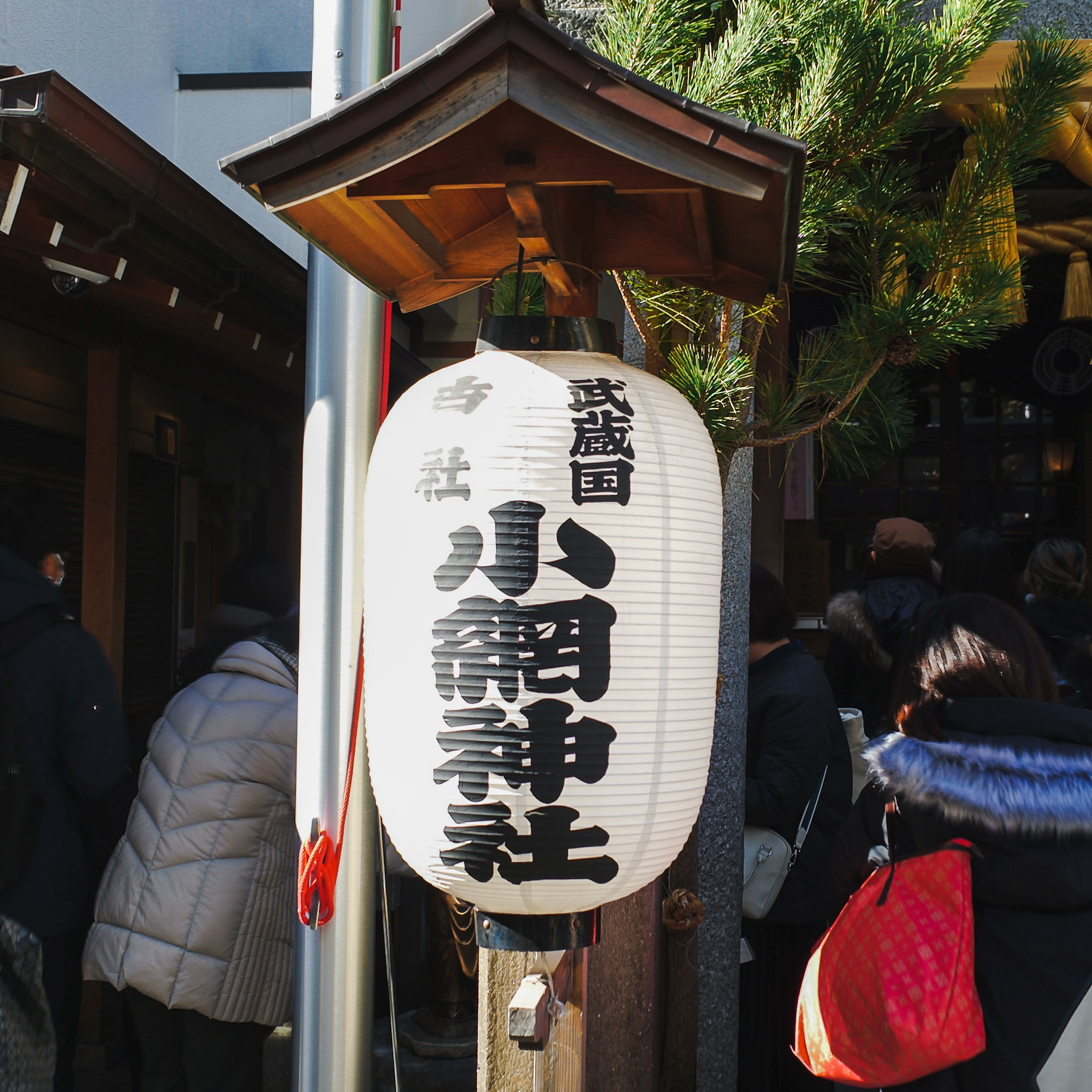 小網神社の提灯